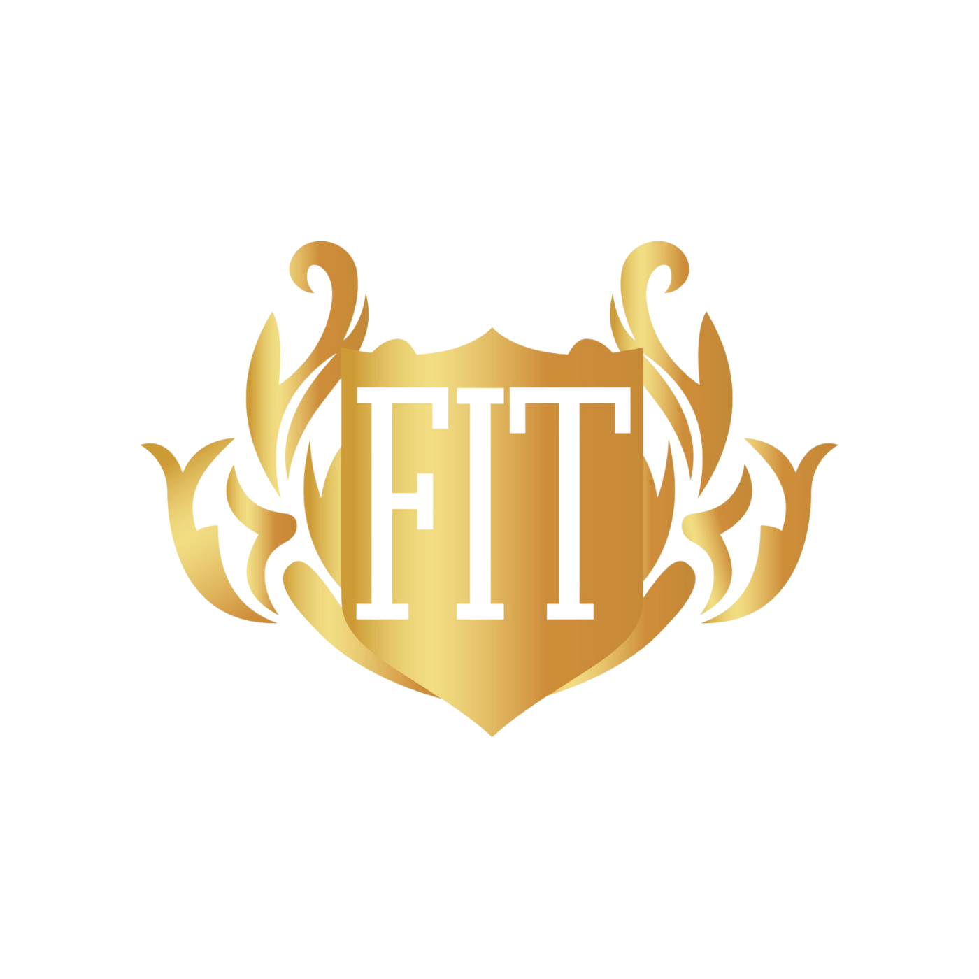 fit logo 3